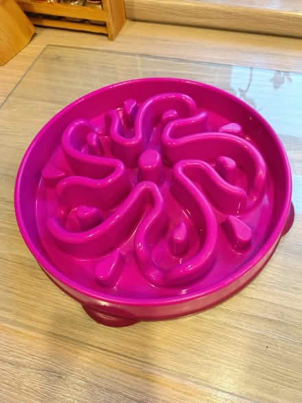 Photo of free Slow Feeder Dog Bowls (Merseyside) #3