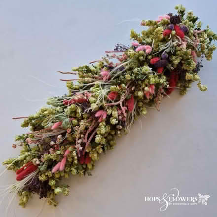 Photo of Dried flowers (Harrogate. HG1.) #1