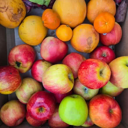 Photo of free Organic Apples & fruit (Chiquita Av MtnVw) #1