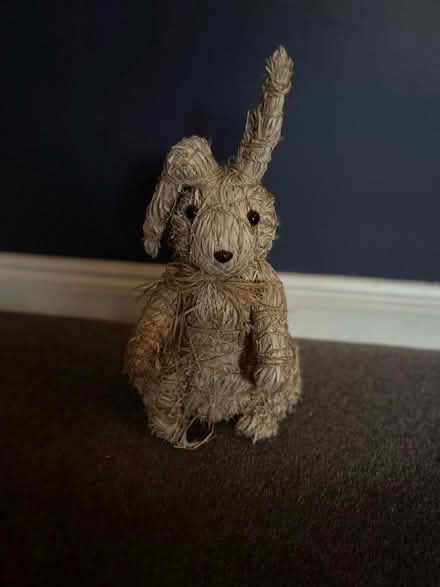 Photo of free Rabbit (Funtley PO17) #1