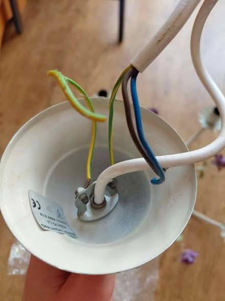 Photo of free Chandelier light fitting (Studley B80) #2