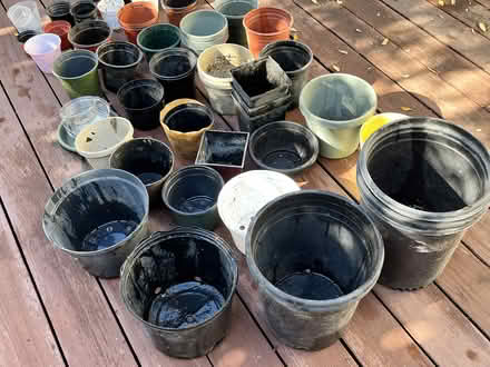 Photo of free Pots for Plants (Wolfe & Reed) #3