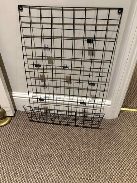 Photo of free Gris for pics (Saint John’s wood NW8) #1