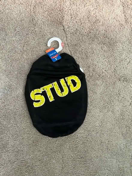 Photo of free Small / medium dog shirt (Lansdale) #1