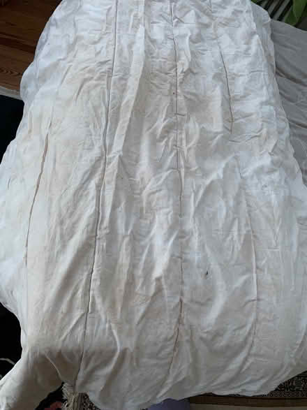 Photo of free single duvet dog bed padding (Blagdon BS40) #1