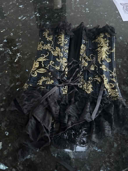 Photo of free Basque! (South Woodchester GL5) #1