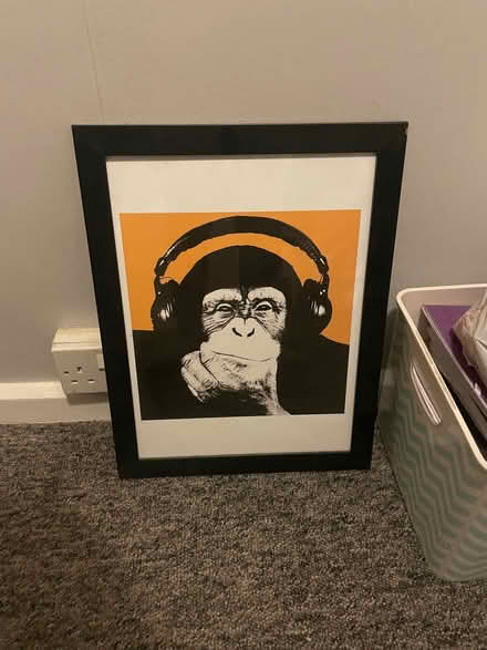 Photo of free Picture (Southdown) #1