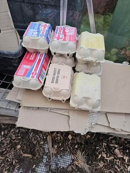 Photo of free Empty egg cartons (Handsworth) #1