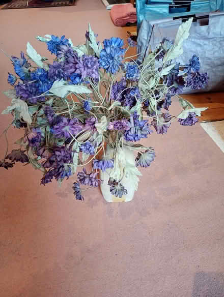 Photo of free Vase of dried flowers (Streatham Park SW16) #1