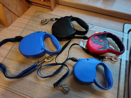 Photo of free Dog Leads (Merseyside) #1