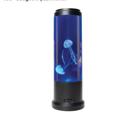 Photo of free Jellyfish lamp diffuser (CB2) #2