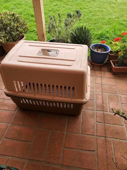 Photo of free 2 x Dog Carrier Airline Approved (Cranebrook NSW) #1
