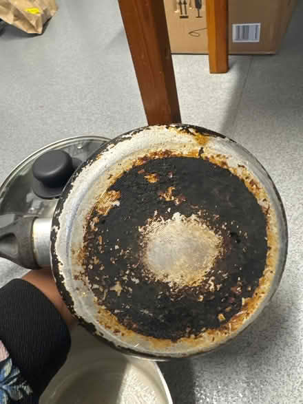 Photo of free Pots (Plaistow) #4