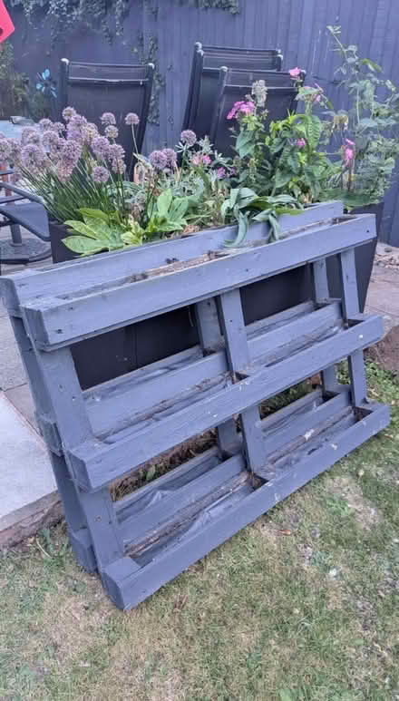 Photo of free 2 pallets (SY11) #1