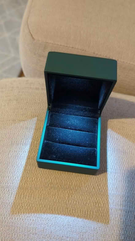 Photo of free Green ring box with light (Walthamstow) #2