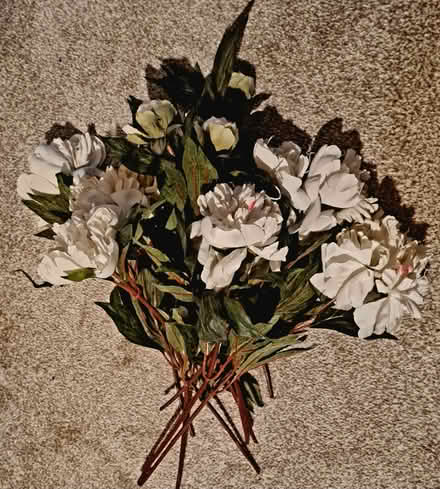 Photo of free Fake flowers - peonies (Purbrook) #1