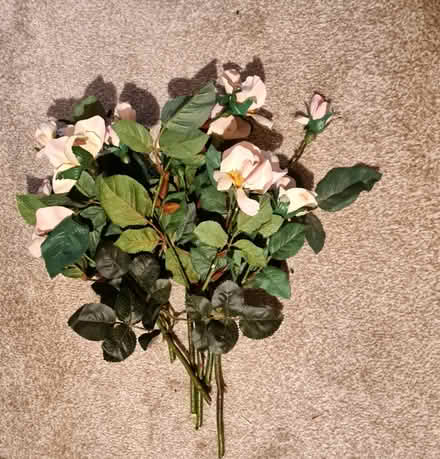 Photo of free Fake flowers - roses (Purbrook) #1