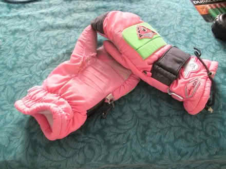 Photo of free ski mittens (Old Ottawa South) #1