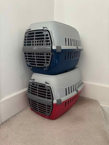 Photo of free 2x cat boxes (Chatham, Kent) #1
