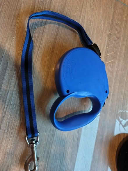 Photo of free Dog Leads (Merseyside) #2