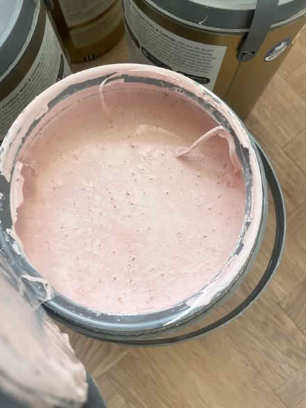 Photo of free 20L pale pink valspar paint (Liverpool L18) #3