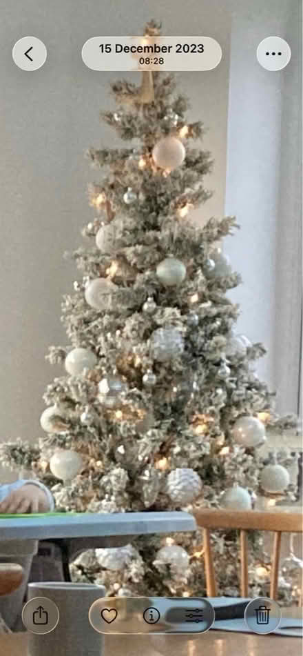 Photo of free Christmas Tree (RG41 3UB) #1