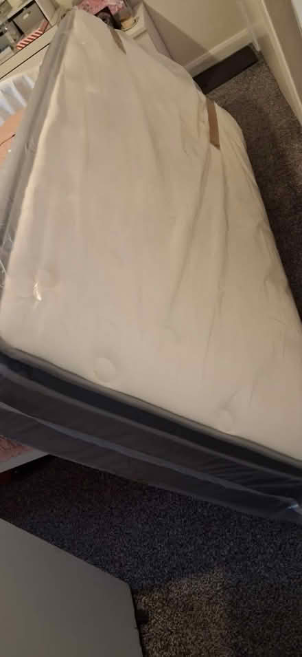 Photo of free Folding single bed and mattress (Wimbledon SW19) #2