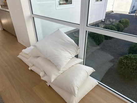 Photo of free 8 Euro Pillow 26x26 inserts (Pebble Beach near Peter Hay) #1