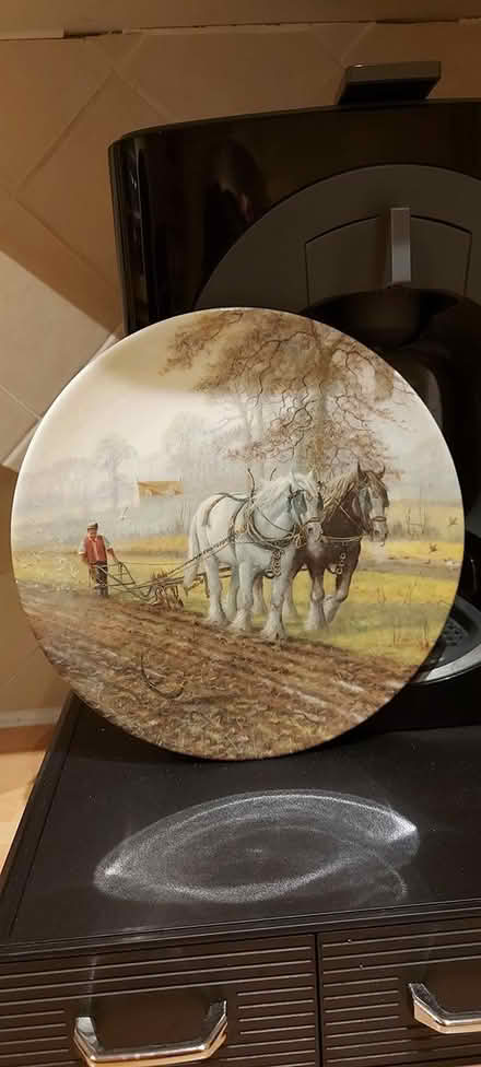 Photo of free Royal Doulton Plate (Guildford GU1) #1