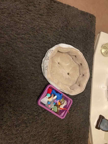 Photo of free Small reversalbe cat bed (Birkenhead) #1