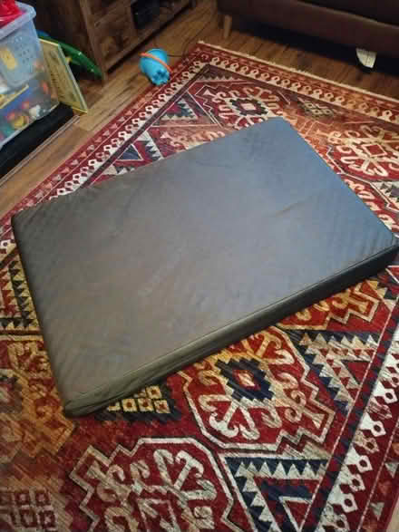 Photo of free Dog Bed, Large, Orthopedic (Merseyside) #2