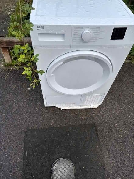 Photo of Tumble drying (Langely .slough) #1