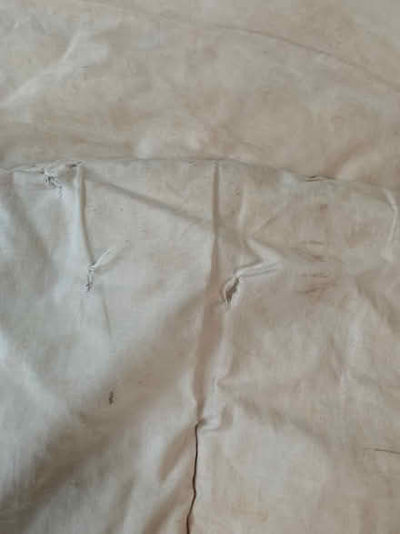 Photo of free single duvet, dog bed? toy stuffing (Blagdon BS40) #2