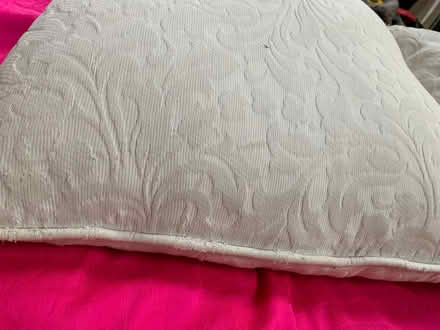 Photo of free two large feather filled cushions (Blagdon BS40) #4
