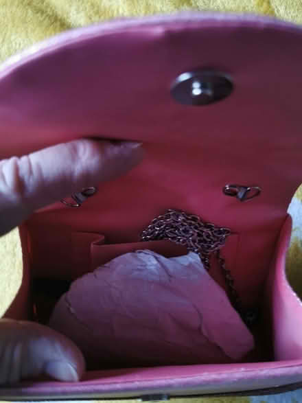 Photo of free Pink hand bag (Haresfinch) #2