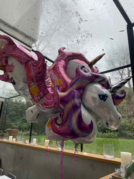 Photo of free 4 helium filled unicorn balloons with strings and weights (Canonbury N1) #2