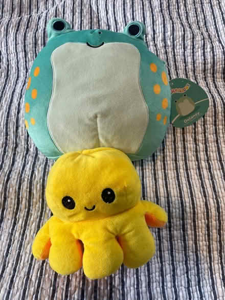 Photo of free Two soft toys (Golden Triangle NR2) #1