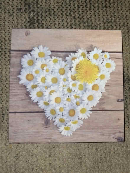 Photo of free Canvas #2 (SG64YQ) #1