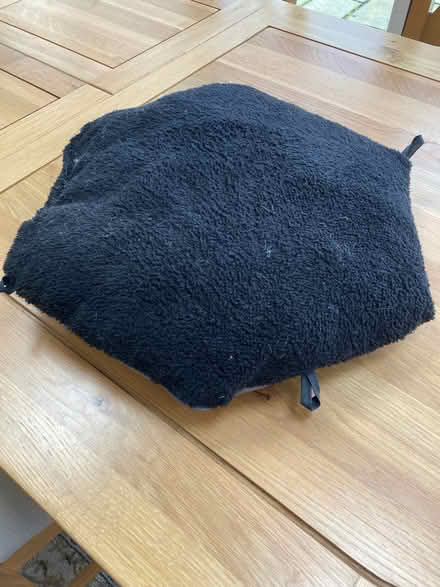 Photo of free Small pet cushion (Noctorum CH43) #1