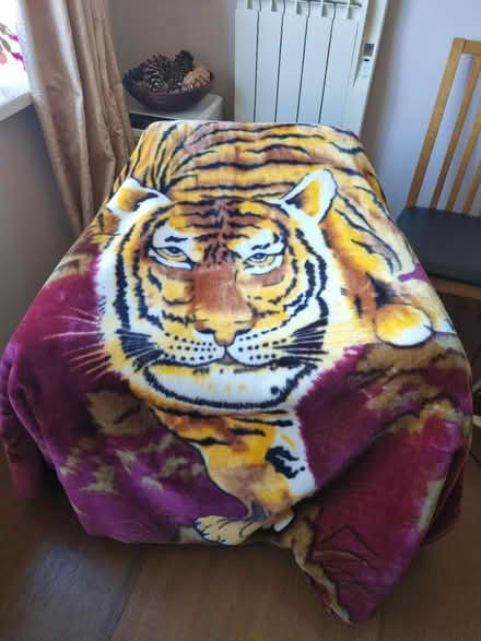Photo of free Extra large tiger blanket (SE20) #1