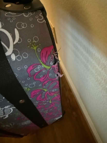 Photo of free Small suitcase and duffel bag (Rancho Rinconada, Cupertino) #2