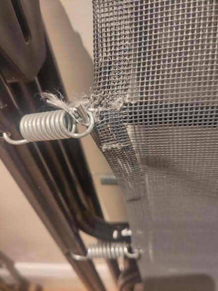 Photo of free Fold up bed (Bexhill old town, TN40) #3