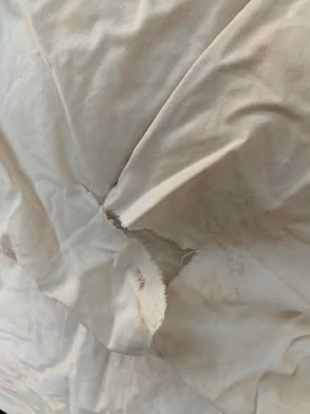 Photo of free single duvet, dog bed? toy stuffing (Blagdon BS40) #3