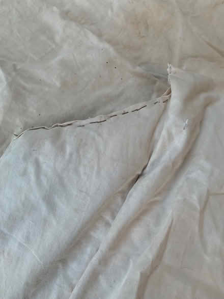 Photo of free single duvet dog bed padding (Blagdon BS40) #4