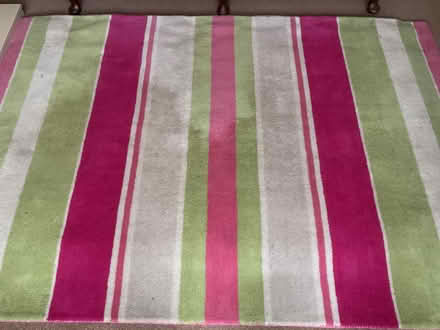 Photo of free Rug (Haygate TF1) #1