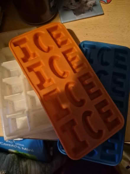 Photo of free Icecube trays (Wiggenhall St Mary Magdalen PE34) #1