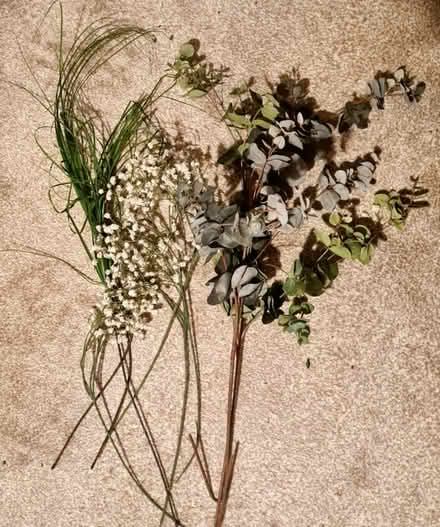 Photo of free Fake foliage (Purbrook) #1