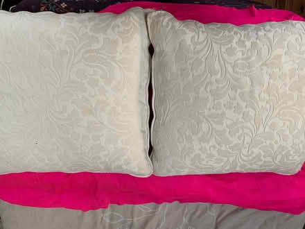 Photo of free two large feather filled cushions (Blagdon BS40) #1