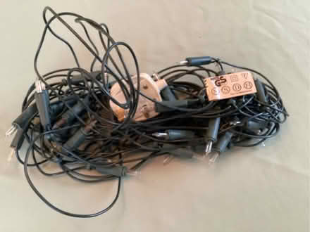 Photo of free Plain tree lights (Sharpstone) #1