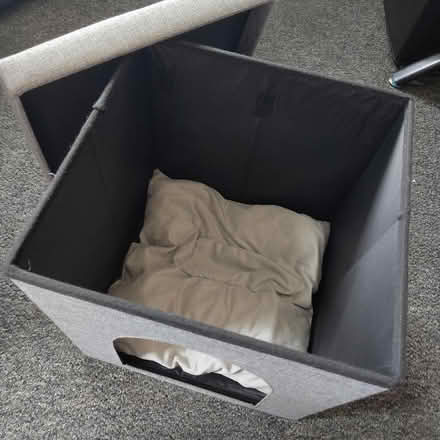 Photo of free Cat Igloo (New Town CO1) #2